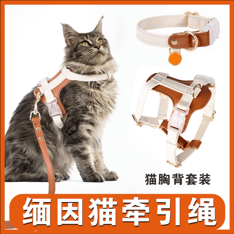 缅因猫专用外出牵引绳猫项圈防挣脱猫咪胸背带防走失遛猫绳可调节