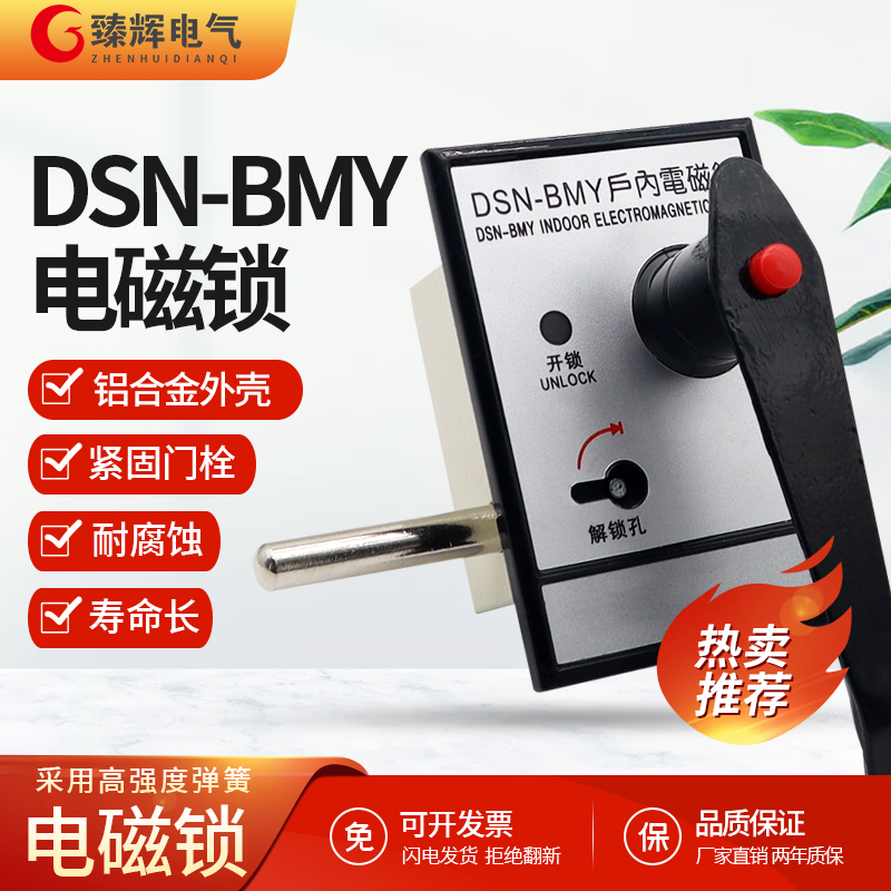 臻辉电气电磁锁户内高压DSN-BMY