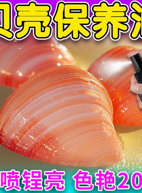 贝壳保养油海螺珍珠刷亮提色防裂发白标本画手工diy抛光剂清洁液