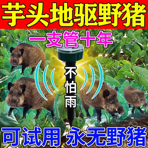 野猪驱赶器芋头玉米地2025新款神獾子野兽大型捕捉农田果园太阳能