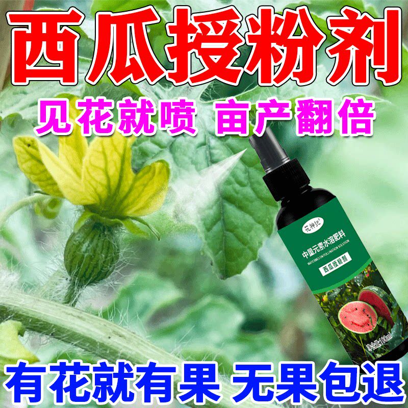 西瓜授粉专用药人工授粉保花保果坐果灵甜瓜香瓜防畸形防落素肥料