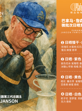 LP CAFE巴拿马詹森庄园日晒微批次竞赛日晒瑰夏精品咖啡豆浅焙75g