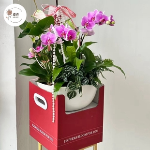 冬青鲜花盆栽花瓶手提盒方形鲜花包装盒折叠纸盒蝴蝶兰花艺插花盒