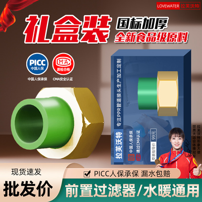 前置过滤器热熔活接头拉芙沃特