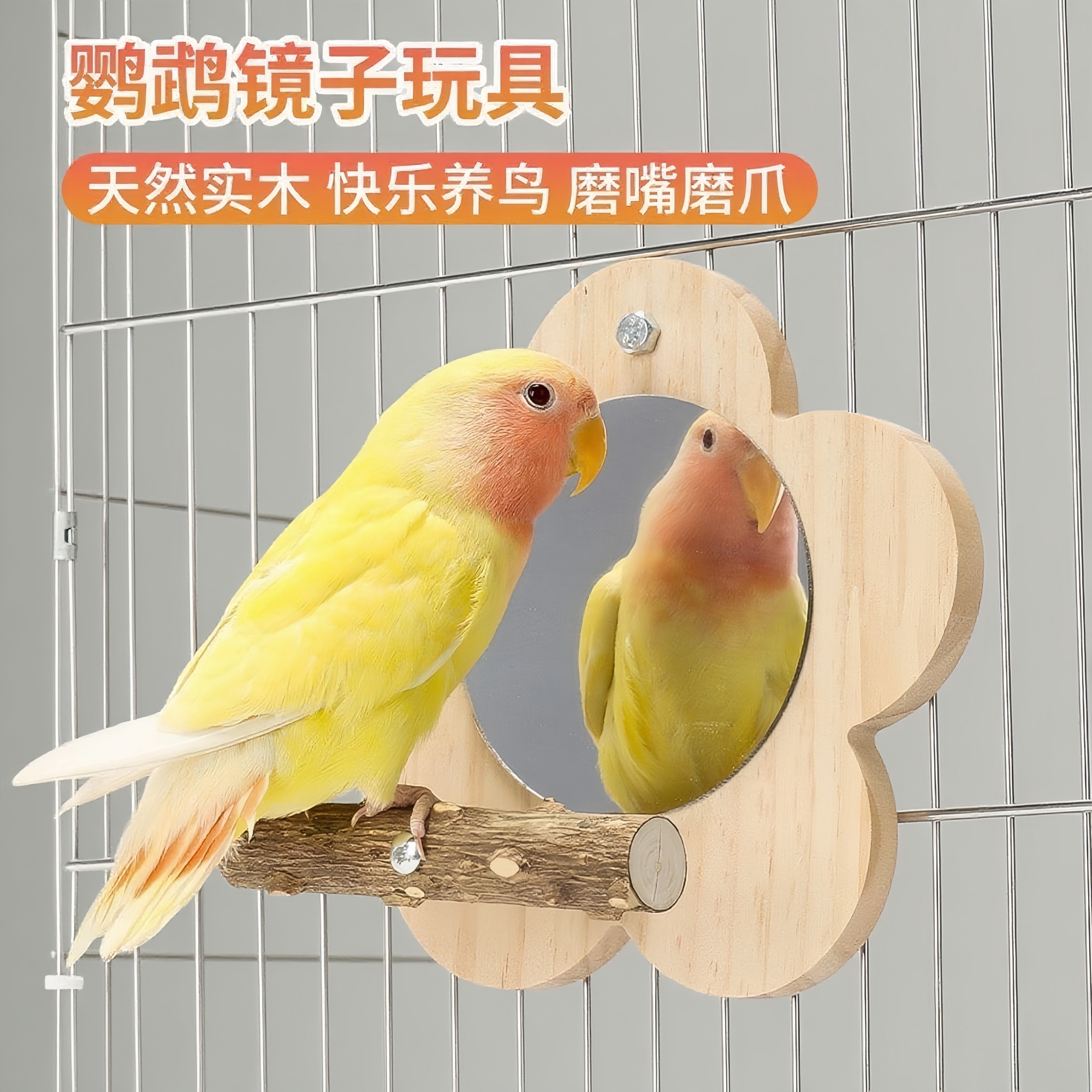 鹦鹉用品花椒木站架鹦鹉镜子啃咬站台鸟笼站架杆虎皮牡丹玄凤玩具