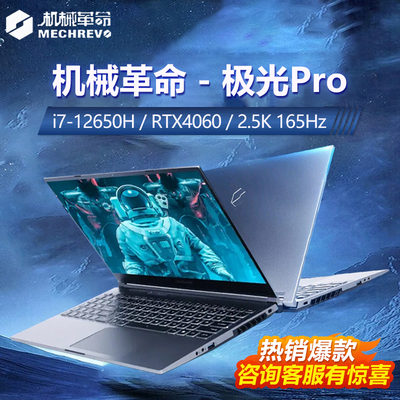 机械革命极光游戏本RTX4060国补