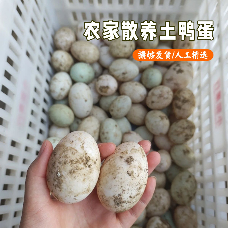土鸭蛋农家散养新鲜湖北野外