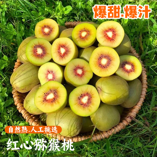 湖北正宗红心猕猴桃新鲜水果猕猴桃孕妇应季奇异果爆甜汁农家果园
