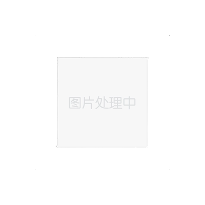 丽驰哪吒全包围汽车脚垫
