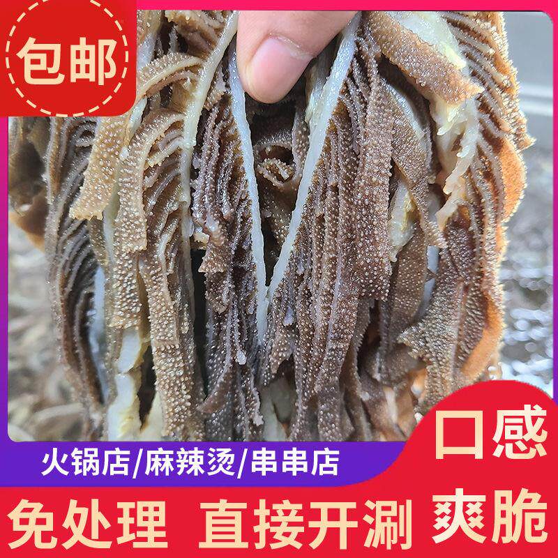新鲜黑千层肚5斤重庆牛肚火锅食材专用牛百叶商用生鲜半成品