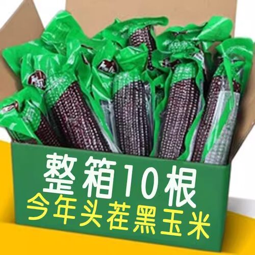大棒10支新黑糯玉米新鲜现摘真空