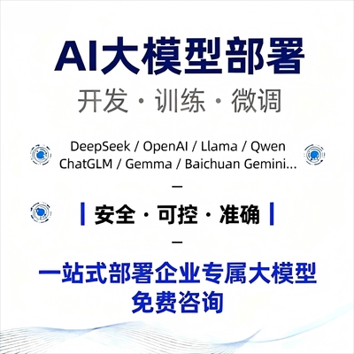 AI大模型训练部署开发微调项目