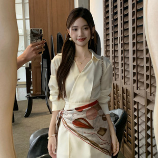 气质短裙高级感收腰包臀裙子 2025polo领长袖 衬衫 连衣裙女夏季 修身