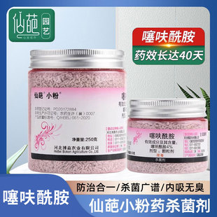 仙葩小粉药噻呋酰胺花卉多肉立枯病黑腐白粉病烟煤内吸土壤杀菌剂