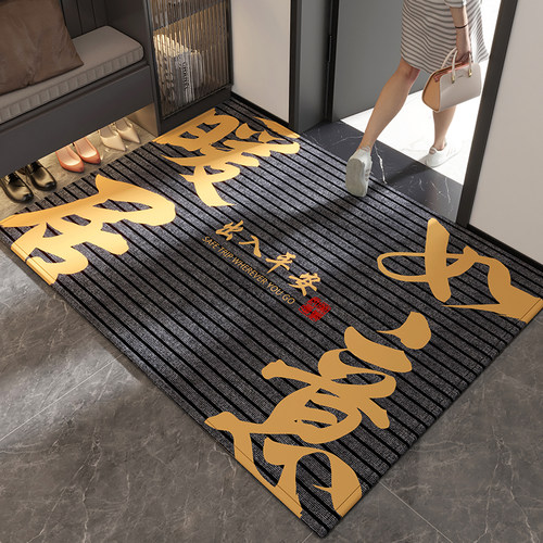 入户地垫室内耐脏除尘地毯家用