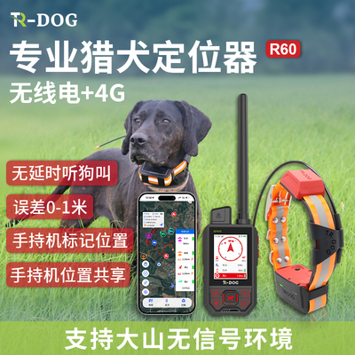 定位项圈新款2024新款2代