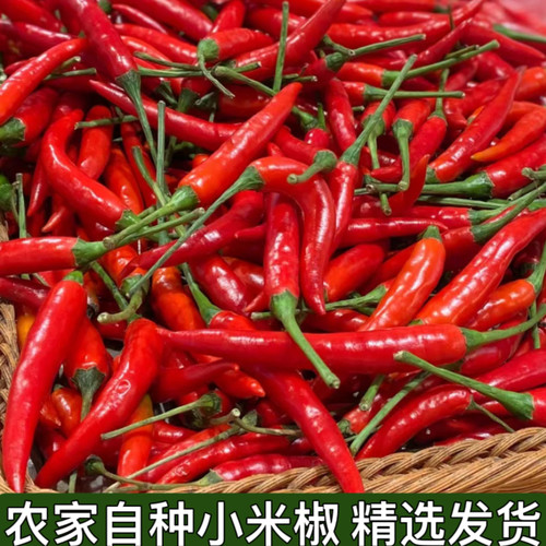新鲜农家自种包邮小米辣椒
