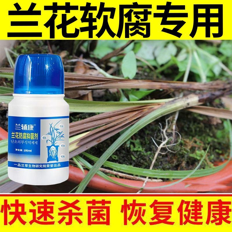 兰花黄叶干尖专用药兰花黑斑病烂根软腐茎腐病黄叶焦尖专用杀菌剂