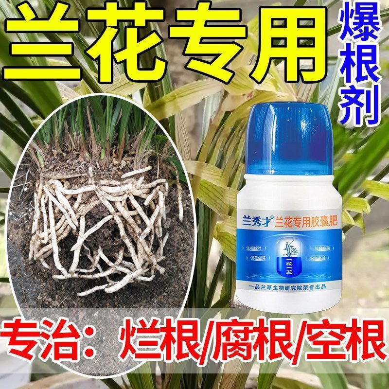 兰花爆根爆芽浓缩营养液快速生根家庭水培室内酸性专用
