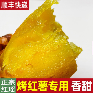 正宗日本高端红瑶黄金蜜薯糖心烤红薯专用新鲜番薯农家自种地瓜