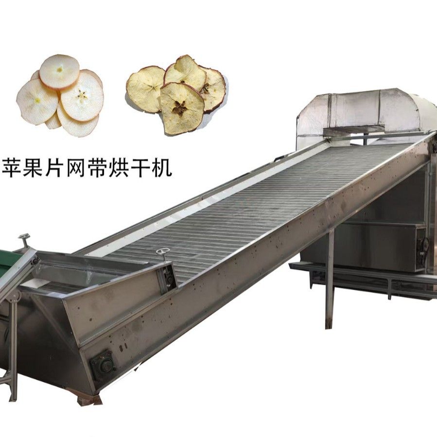 食品网带烘干机 不锈钢苹果片网带式烘干机器 带式流水线烘干设备