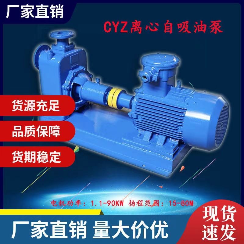 CWZ船用卧式离心泵海淡水泵柴油机消防泵锡青铜叶轮油泵自吸泵