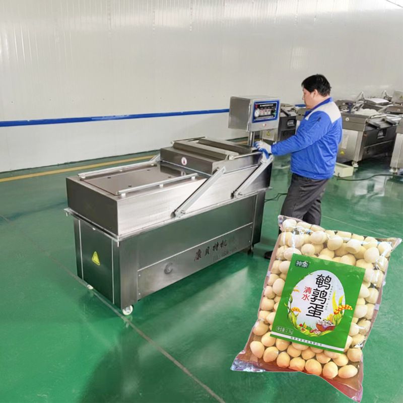 DZ600双室真空包装机 小香薯地瓜干真空包装机商用食品真空封口机