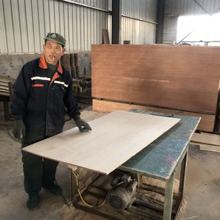 浮性鱼食膨化颗粒机生产线猫粮狗粮宠物饲料膨化鱼虾饲料机