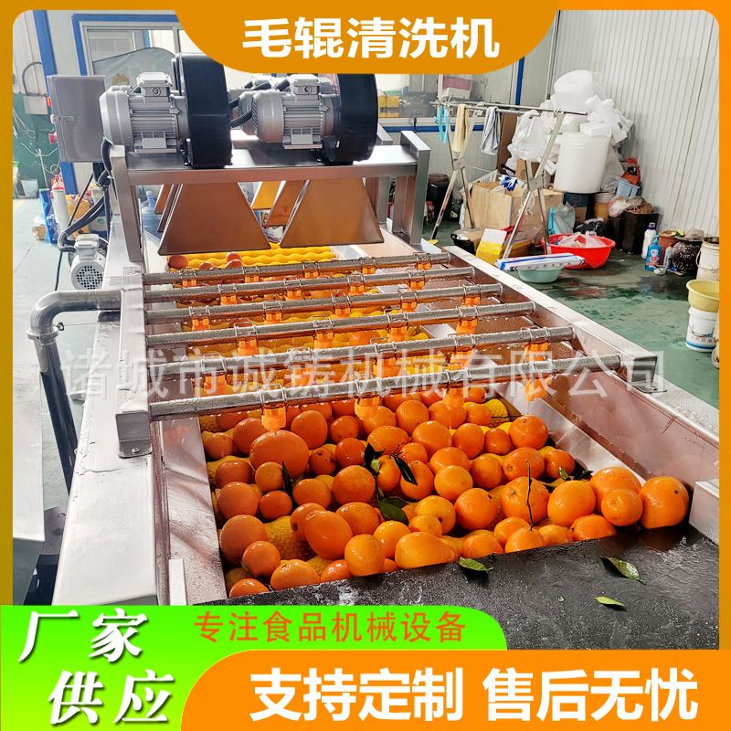 定制茂谷柑平行毛辊清洗机304不锈钢支持定制商用黄桃毛辊清洗机