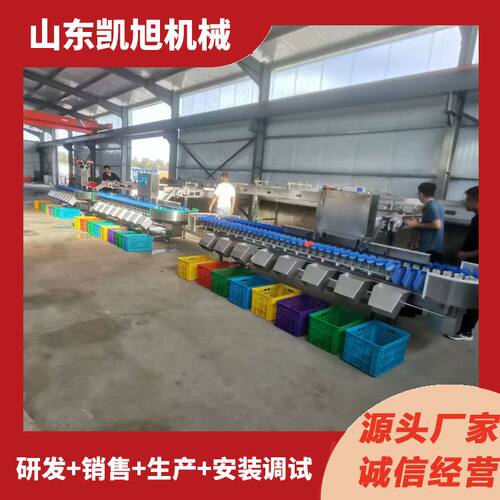 马蹄全自动料盒式分选设备 果蔬水果称重分选机 厂家支持定制