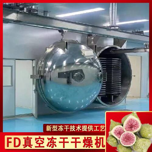 全自动牛初乳冻干粉设备 FD柠檬片整套冻干生产线 银耳粥冻干机