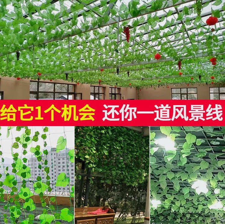 仿真绿色植物塑料假花藤条家居客厅装饰常青藤葡萄叶子黄金葛假叶