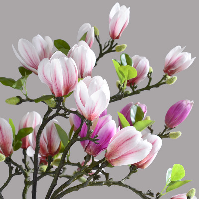 3D手感玉兰花仿真花假花