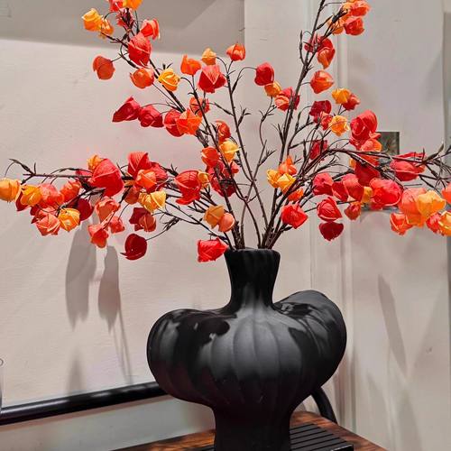 栾树果仿真花灯笼果假花摆件客厅摆设新年装饰年宵花酸浆果树枝花