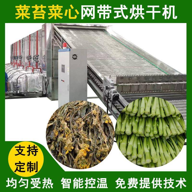 空气能网带式菜苔菜心烘干机油菜苔脱水烘干箱大型苔菜烘干设备