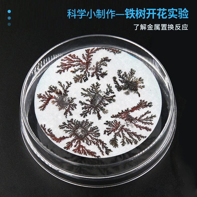 铁树开花科学实验儿童手工