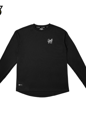 SLAMBLE-FIT训练运动长袖T恤男健身衣服圆领速干投篮球服跑步上衣