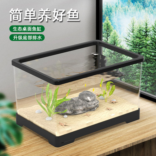 小鱼缸家用客厅小型生态超白