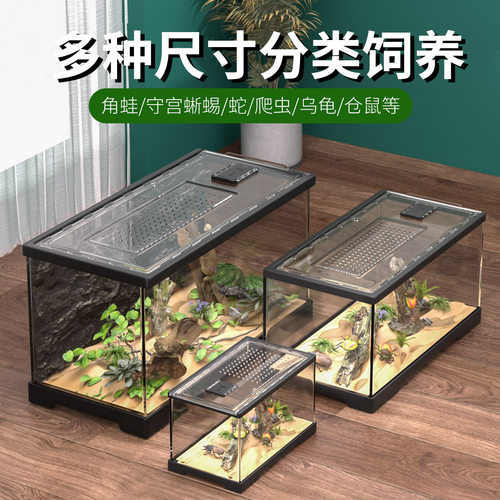 守宫饲养箱睫角鬃狮蜥蜴爬宠缸