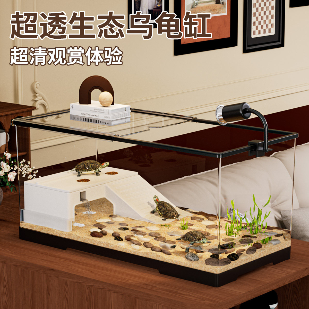乌龟生态造景缸亚克力图片