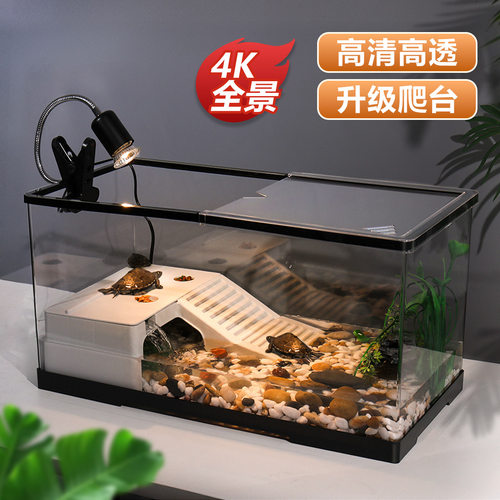乌龟缸小型生态造景带盖桌面鱼缸