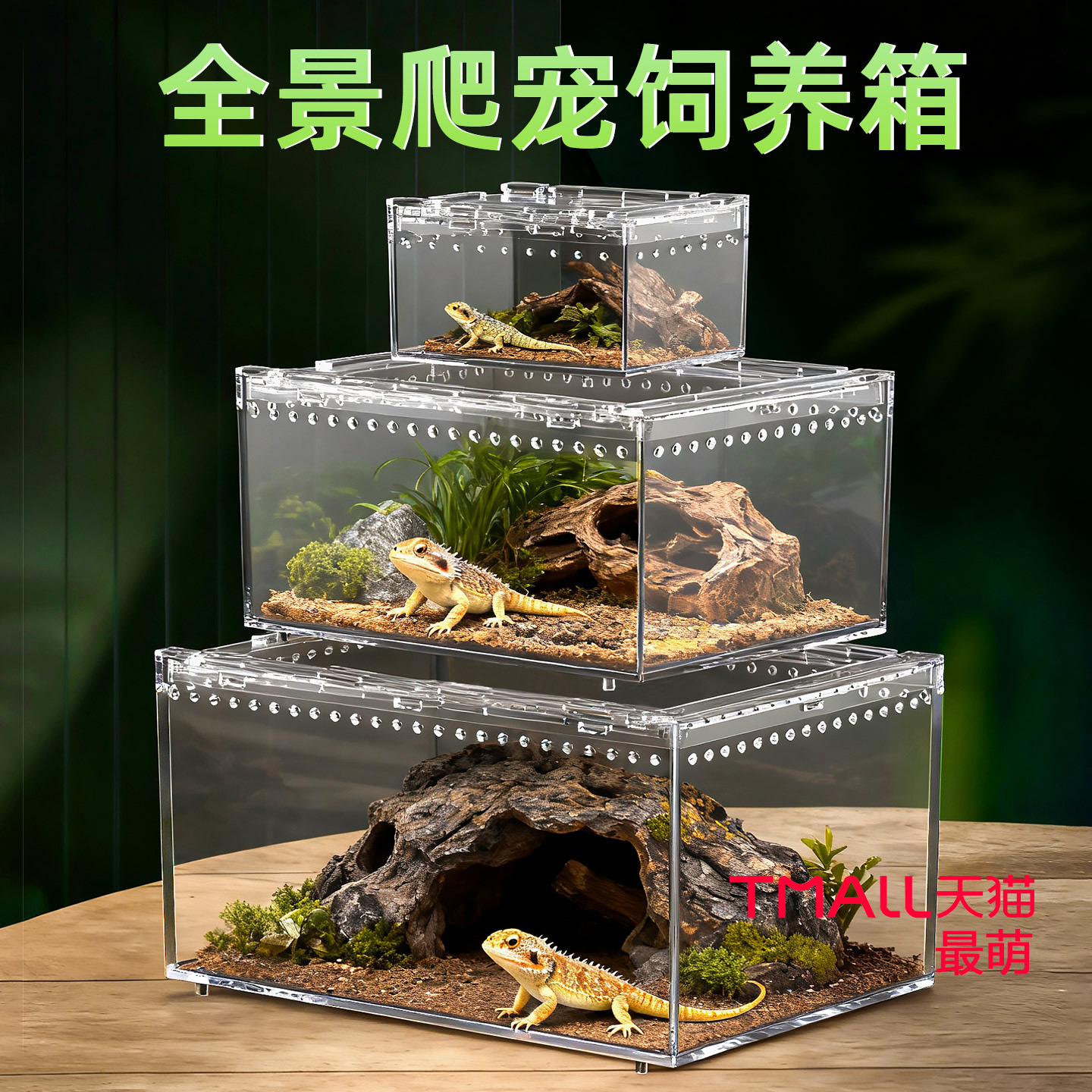 水陆两栖生态饲养缸小型