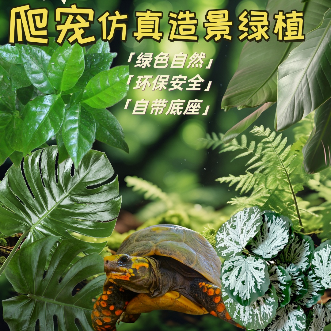 爬宠缸用品镊子温度计