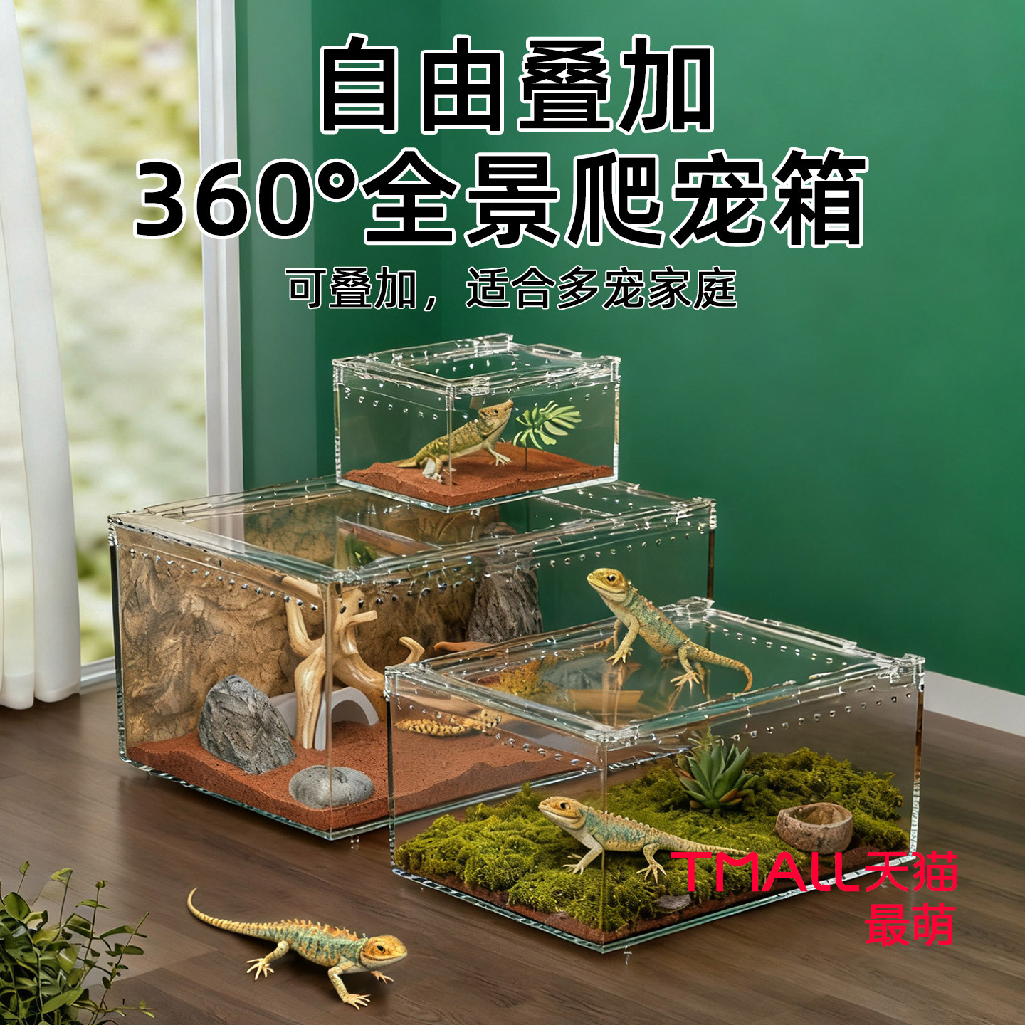 水陆两栖爬宠生态饲养缸