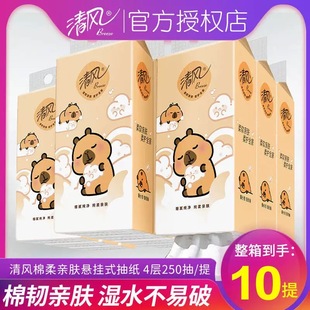 清风抽纸悬挂式卡皮巴拉250抽1000张1提4层加厚家用卫生纸巾厕纸