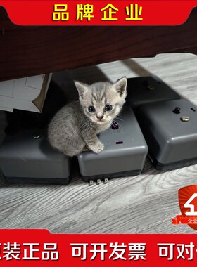 小猫牌RA890G RM7800L 议价