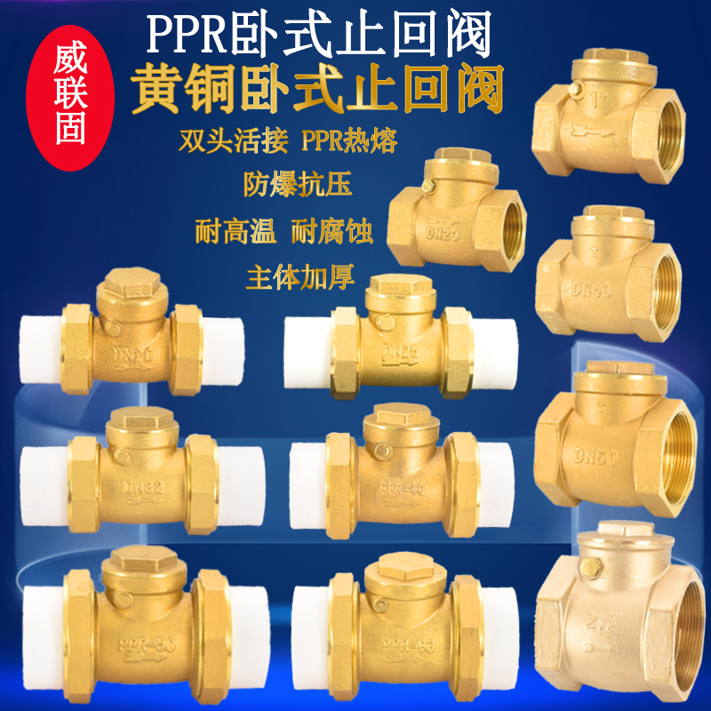 黄铜卧式止回阀威联固4分PPR20
