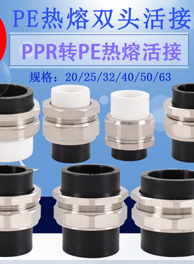 20PE/ppr25 32 40 50 63热熔双头加厚转换黄铜接头水管活接配件