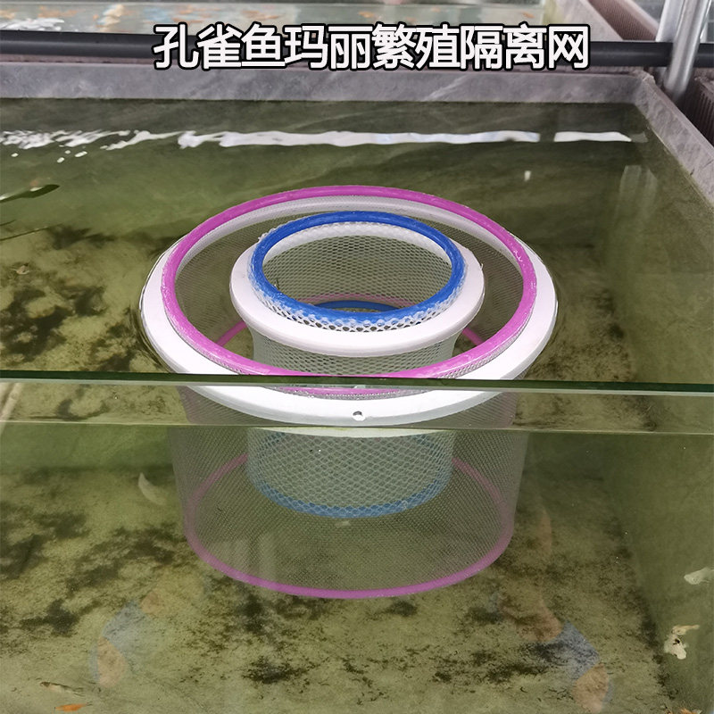 小型漂浮鱼卵鱼苗隔离孵化盒