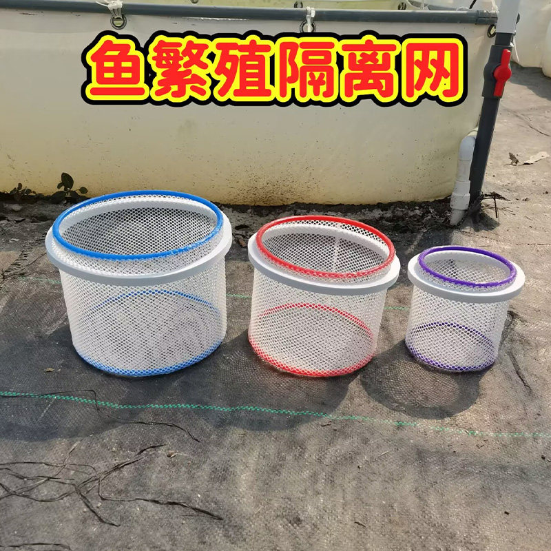 孔雀鱼苗孵化密网漂浮隔离网
